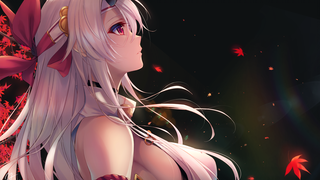 Words from Heroic Spirits of FGO