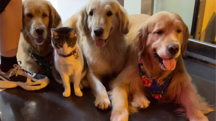 A super warm family