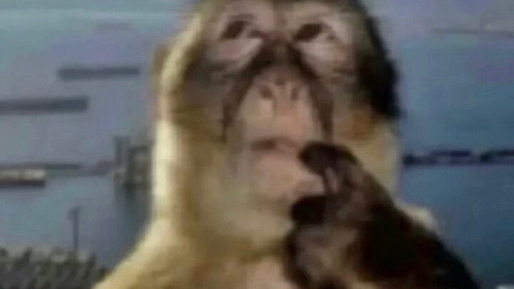 College students’ writing is all about going back to the basics…