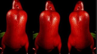 Peking Duck Recipe Revealed – Commercial Techniques for Culinary Success