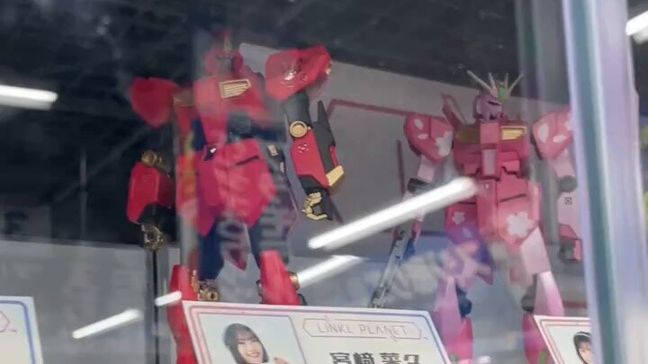 Is there any future for Bandai Girls Group x Gunshi Girls Group + model paint?