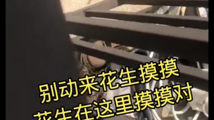 ปากผู้ชายล้วนแต่หลอกลวง