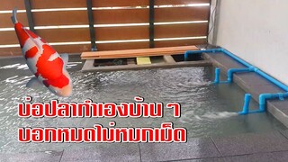 สร้างบ่อปลาคาร์ฟเองบ้านๆ บ่อครู บอกหมดไม่มีกั๊ก KOI POND DIY l คุณพ่อคราฟ