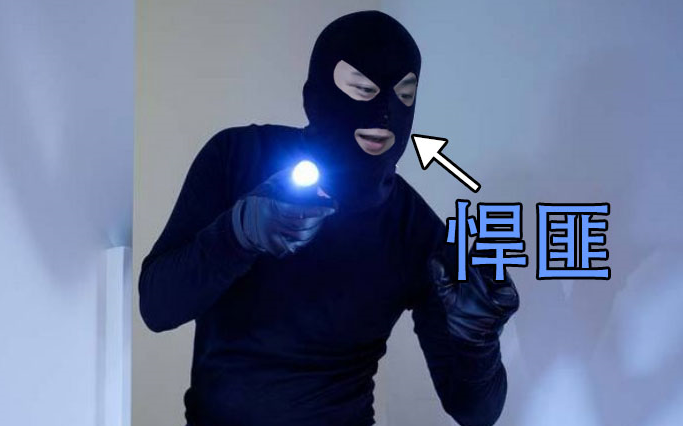 Thief Simulator! Have you ever seen anyone steal like this?!