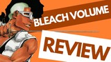 Bleach Volume 66 Review | The Zero Division FALLS!