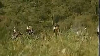 manbo trâu tinh trì