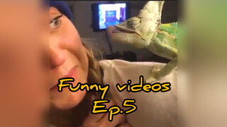 Funny videosEp.5