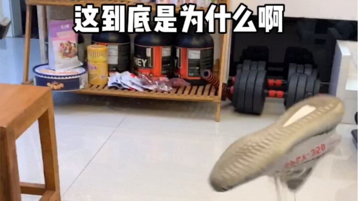 Sigh, I just can’t figure it out—why is it so hard to just play a game?