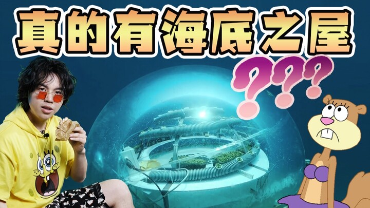 「海绵宝宝」珊迪的房子现实里真的可行吗?我制作了一个