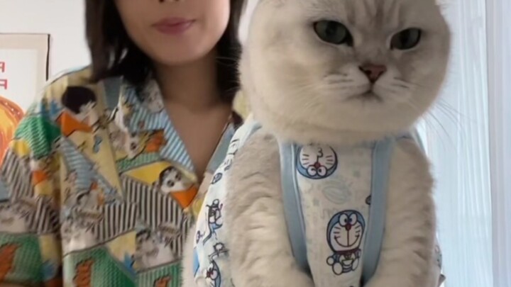 “Fen telah kurus kering seperti bungkusan kulit”