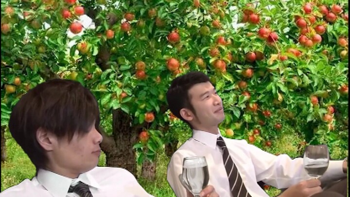 Two people who accidentally discovered universal gravitation after being hit by an apple