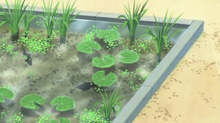 Sasameki Koto Episode 9