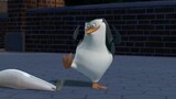 [Penguin Madagaskar] Rutinitas Seribu Lapisan Skipper (untuk semua/Sall, untuk Saudara Xie~)