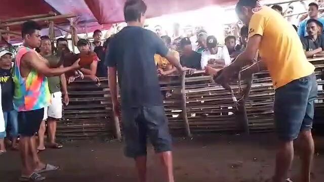 hinde magaling piro kaya tumagal sa laban  naka chamba din hehe