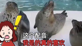 Lồng tiếng này đánh trúng tim tôi luôn, không nói gì khác, cái này tôi thực sự thích.