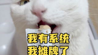 Hahahahaha, I'm laying my cards on the table—I might actually have a system installed in me. How cou