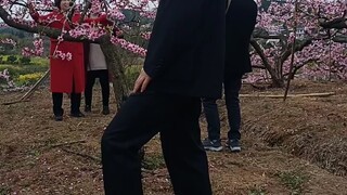 #喜迎桃花朵朵开 #充国桃花源 比❤