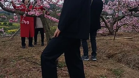 #Welcome the peach blossoms to bloom#Chongguo Peach Blossom Spring ❤
