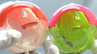 【Kamen Rider Ex-Aid】Kastil Permainan Sokugan