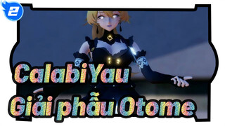 CalabiYau| Giải phẫu Otome_2