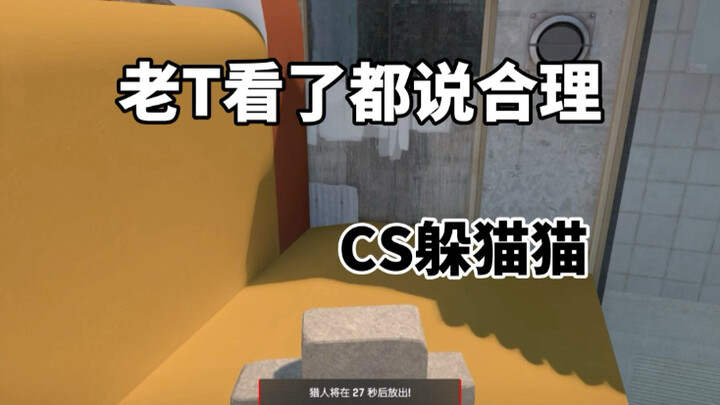CS2躲猫猫:老T看了直呼内行