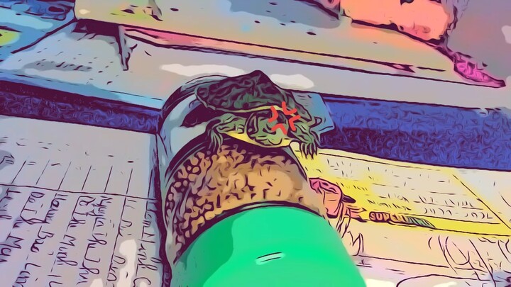 Không Cho Ngủ -“-