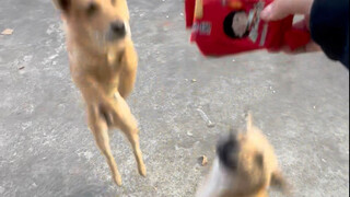 Muối của bạn, giấm của tôi