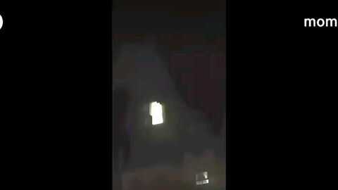 如果對他的死沒有合理的解釋，我認為你的家人將無法生存，而且我所擁有的槍