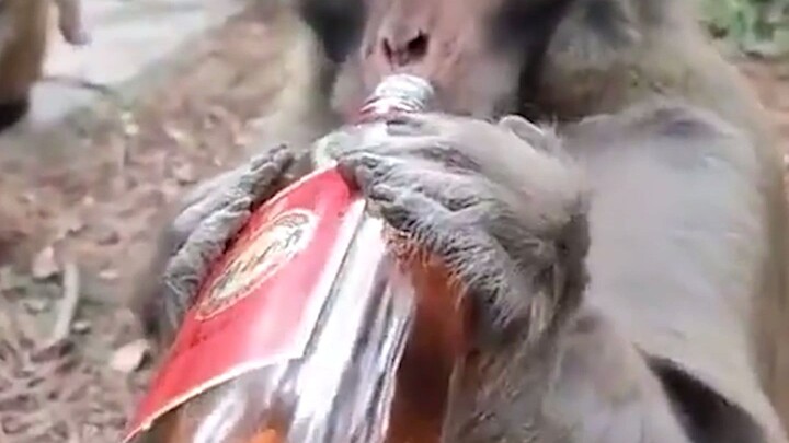 This stuff feels so good in your mouth!