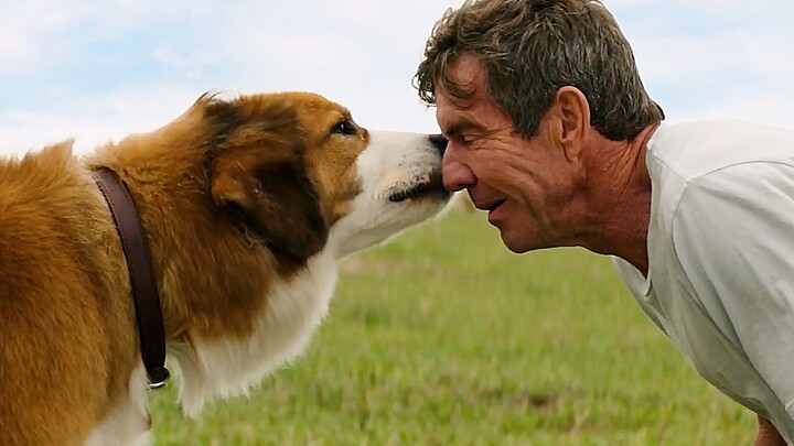 Four lives, four lifetimes, ten miles of wheat fields