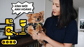 Robot dọn nhà: Mình sống không có người giúp việc như thế nào?