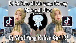 DJ SEKILAS DI AIR YANG TENANG SOUND ROSAK FM | DJ MEKAR DI JIWA X TRAGEDI KAMAR MANDI VIRAL 2023 !