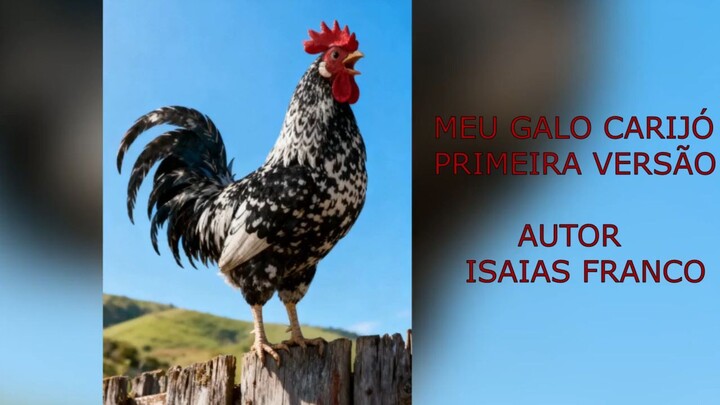 O MEU GALO CARIJÓ 1