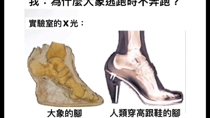 (Ảnh chế hài hước trên mạng 980)