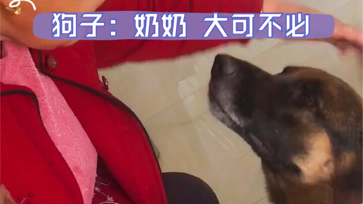 Khi bà nội biết cún con thích được vuốt đầu? Phản ứng của cún con khiến ai cũng sững sờ!