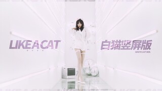 【舞小喵】LIKE A CAT 竖屏版️♡ 是你想要的