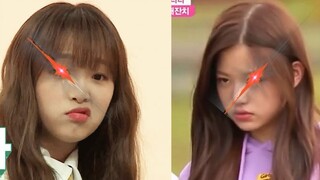 【IZONE】鸭兔同笼