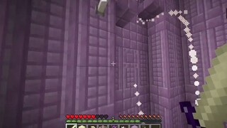 Minecraft nhưng mình chiến thắng Chế Độ Đảo Ngược