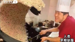لا تزال الصور الثمينة التي التقطها Cooking Master Boy متحفظة.