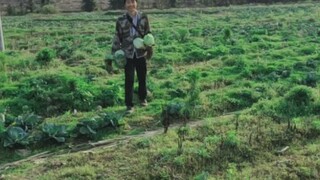 摘我家的菜，被我抓到了，你们说怎么办？