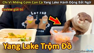 Bún Phở REVIEW tên trộm Yang Lake và Hành Động Đỡ Không Nổi || Review Giải Trí Đời Sống