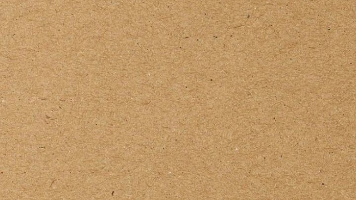 People in Uchiha Clan who is still alive