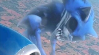What's beyond the airplane window?