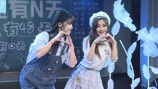 【حقيبة حليب SNH48】《دولفين》