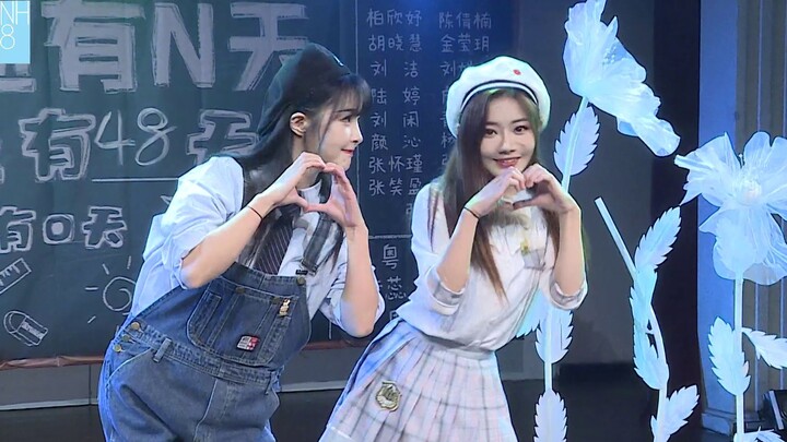 【SNH48 Milk Bag】《Dolphin》