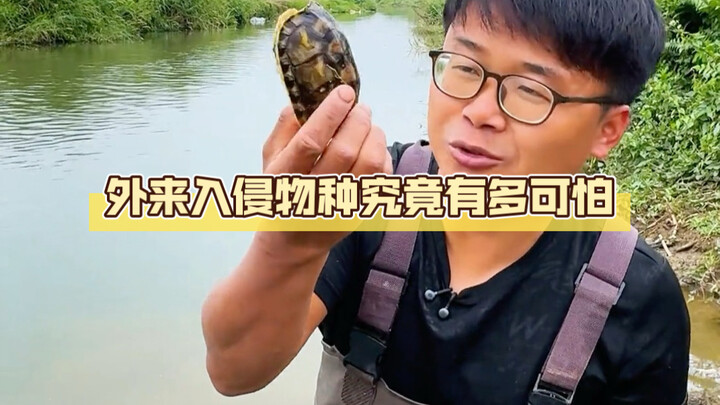 Mất cả tháng trời để tát cạn một hồ nước chỉ để bắt con quái vật thủy quỷ; các bạn bảo loài ngoại la