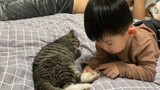 [Thú cưng] Sự thay đổi của em mèo hoang Dragon Li