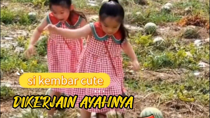 Dikira ladang keluarga 😂