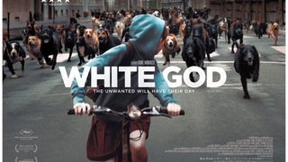 White God