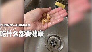 Wash chocolate before eating